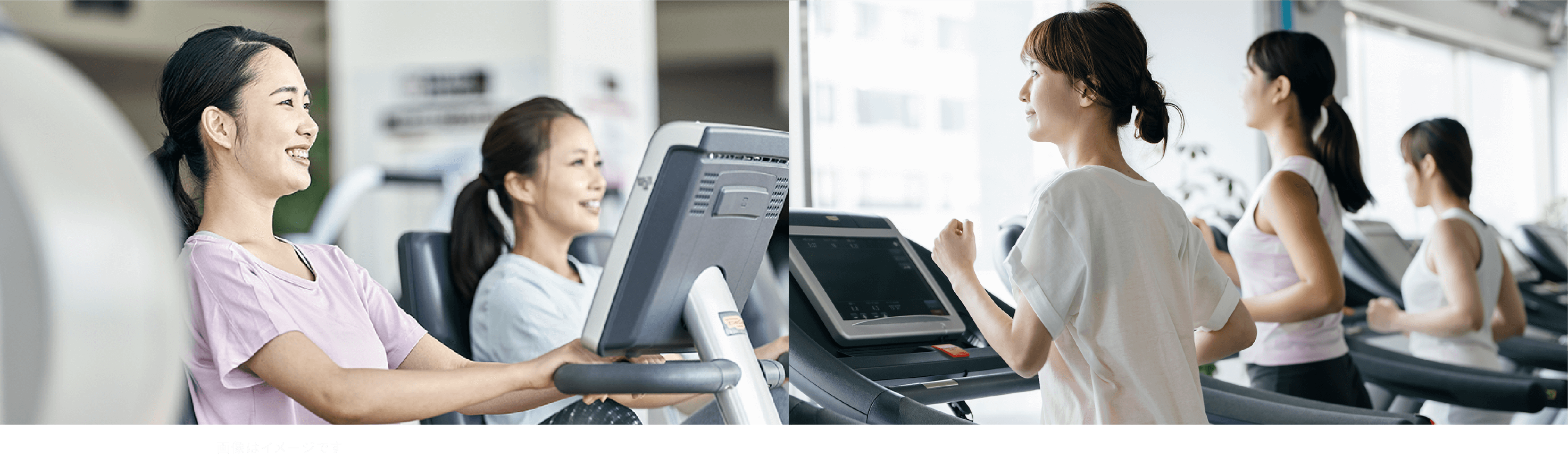 CARDIO MACHINE AREA